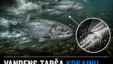 vandens tarsa kokainu keicia lasisu elgesi ir didina ju patekima i plesrunu zonas