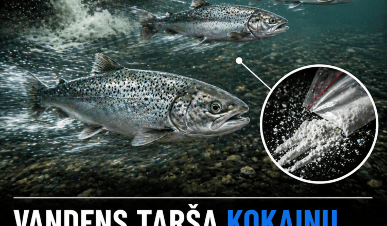 vandens tarsa kokainu keicia lasisu elgesi ir didina ju patekima i plesrunu zonas